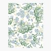 Home RIFLE PAPER Co. Samples | Cornflower Wallpaper Sample|Cornflower Navy Wallpaper Sample