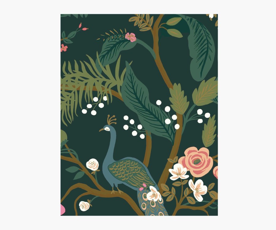 Home RIFLE PAPER Co. Samples | Peacock Wallpaper Sample|Peacock Blush Wallpaper Sample