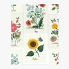 Home RIFLE PAPER Co. Samples | Botanical Prints Wallpaper Sample|Botanical Prints Indigo Wallpaper Sample