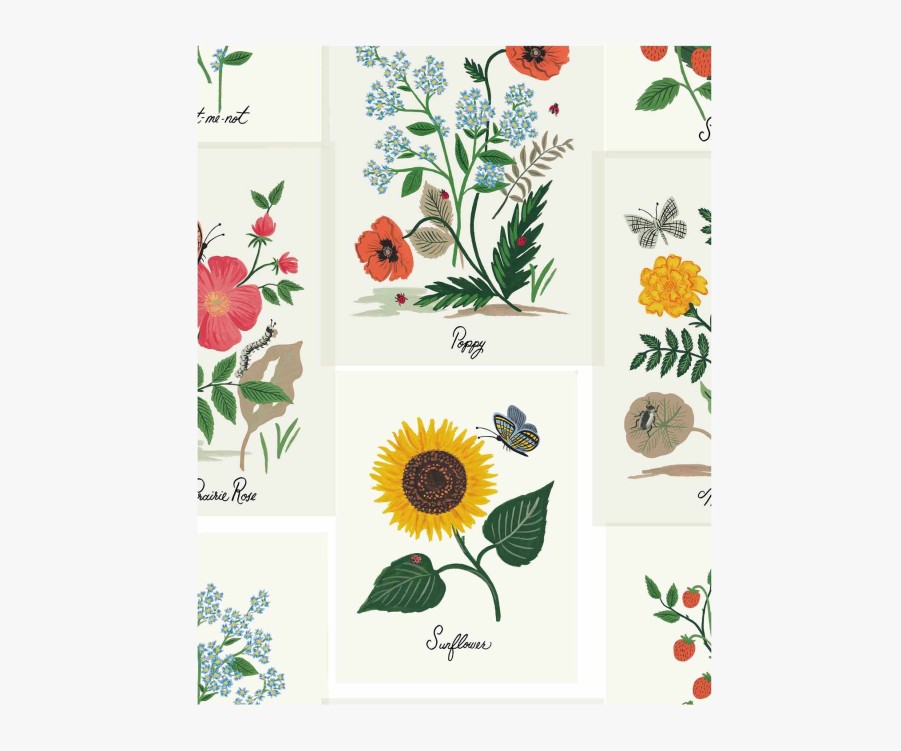 Home RIFLE PAPER Co. Samples | Botanical Prints Wallpaper Sample|Botanical Prints Indigo Wallpaper Sample