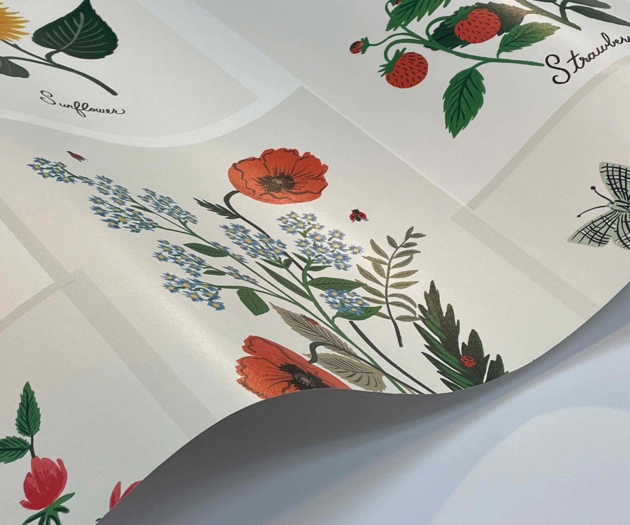 Home RIFLE PAPER Co. Samples | Botanical Prints Wallpaper Sample|Botanical Prints Indigo Wallpaper Sample