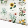 Home RIFLE PAPER Co. Traditional | Botanical Prints Wallpaper|Botanical Prints Linen Wallpaper Double Roll