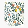 Home RIFLE PAPER Co. Peel & Stick | Citrus Grove Peel & Stick Wallpaper Sample|Citrus Grove Black Peel & Stick Wallpaper Sample