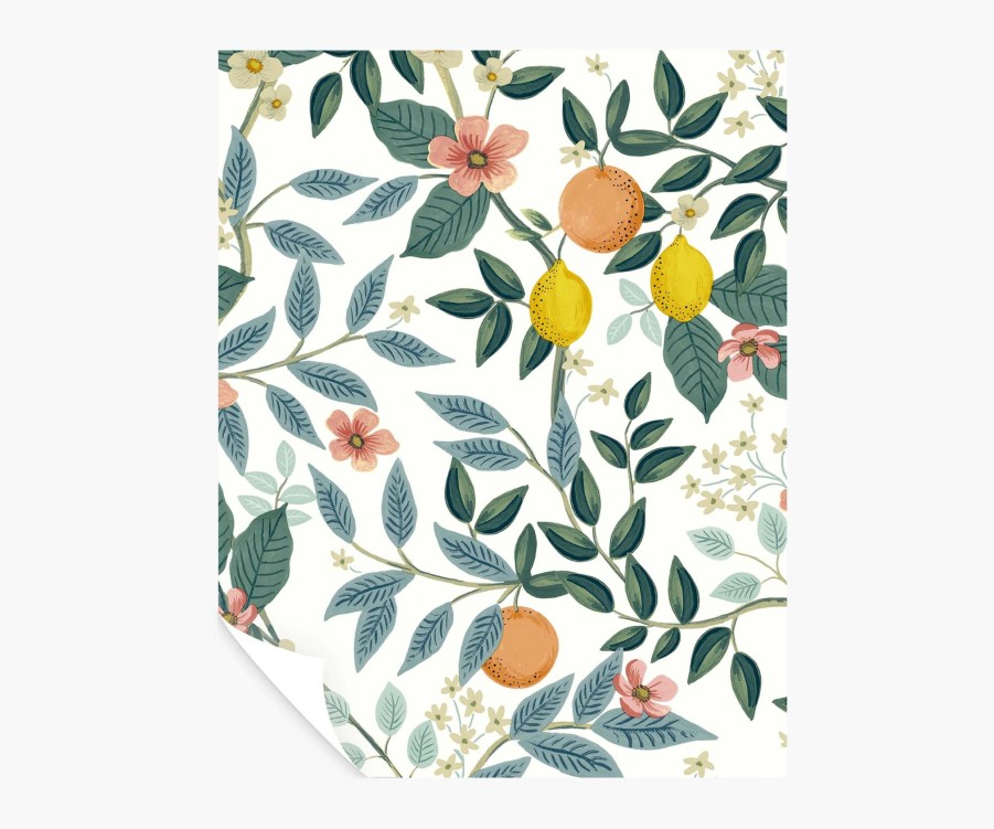 Home RIFLE PAPER Co. Peel & Stick | Citrus Grove Peel & Stick Wallpaper Sample|Citrus Grove Black Peel & Stick Wallpaper Sample