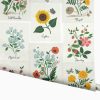 Home RIFLE PAPER Co. Traditional | Botanical Prints Wallpaper|Botanical Prints Indigo Wallpaper Double Roll