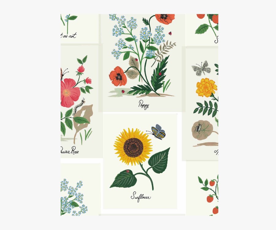 Home RIFLE PAPER Co. Samples | Botanical Prints Wallpaper Sample|Botanical Prints White Wallpaper Sample