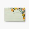 Home RIFLE PAPER Co. Recipe Organization | Citrus Grove Recipe Cards|Citrus Grove Recipe Cards