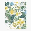 Home RIFLE PAPER Co. Peel & Stick | Amalfi Peel & Stick Wallpaper Sample|Amalfi Blush & Green Peel & Stick Wallpaper Sample