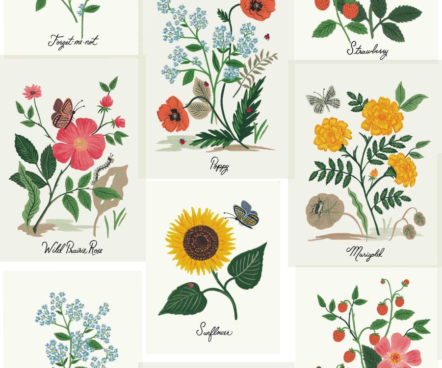 Home RIFLE PAPER Co. Traditional | Botanical Prints Wallpaper|Botanical Prints White Wallpaper Double Roll